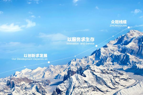 深圳市眾冠線(xiàn)纜科技公司網(wǎng)站
